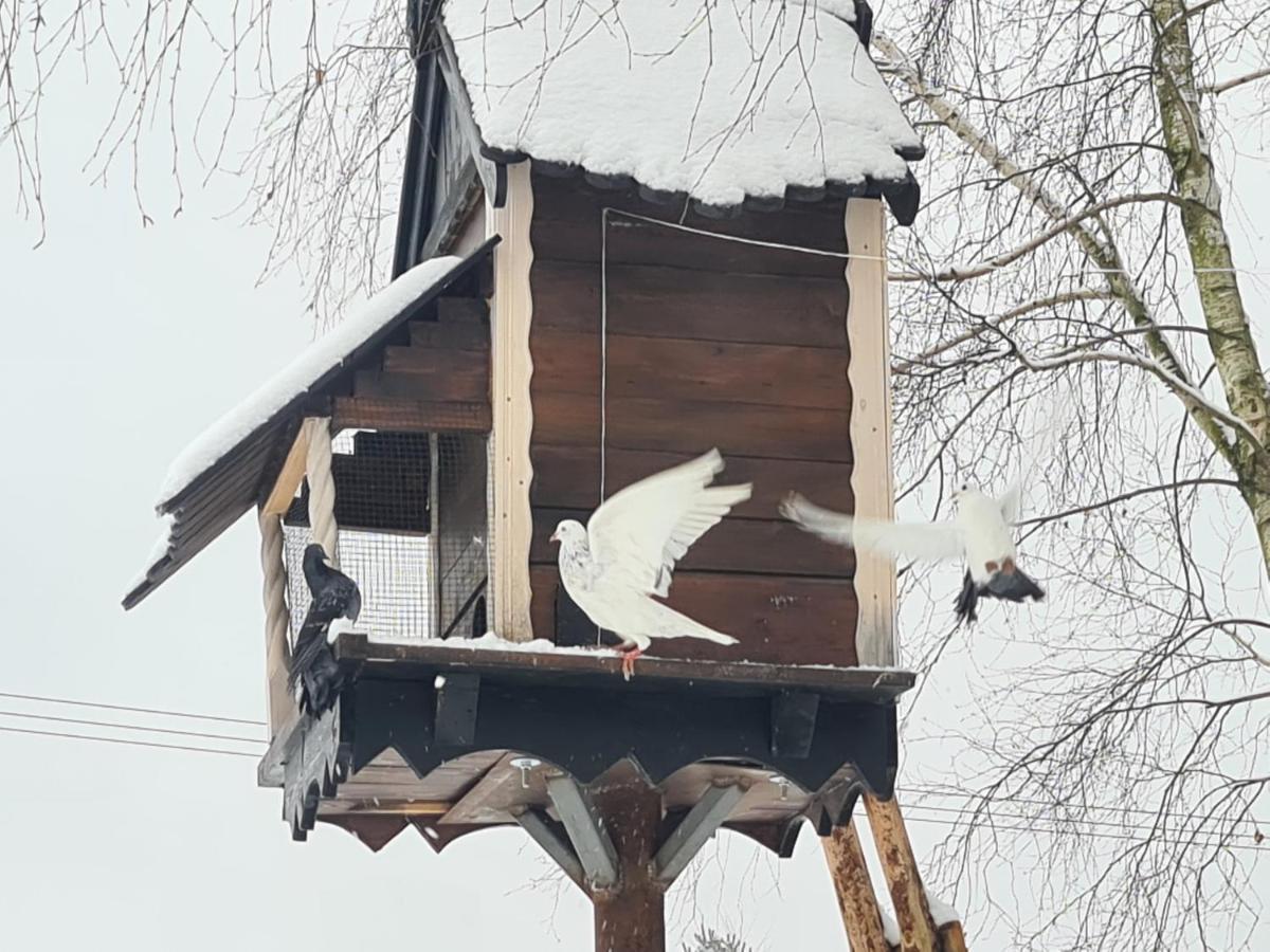 Casa Del Campo 1 Villa Gasno Dış mekan fotoğraf